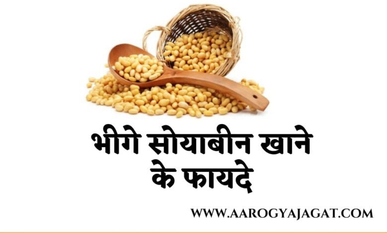 Soyabean Khane Ke Fayde | भीगे सोयाबीन खाने के फायदे