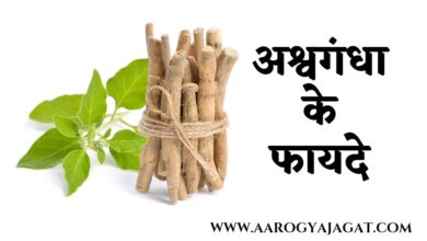 Ashwagandha Khane Ke Fayde ( अश्वगंधा के फायदे )