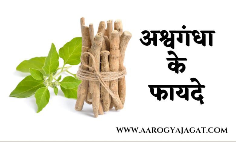 Ashwagandha Khane Ke Fayde ( अश्वगंधा के फायदे )